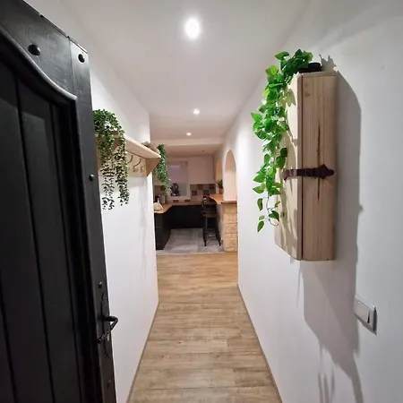 公寓 Beautiful Beachfront *